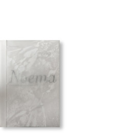 nicht nicht, sondern mehr!